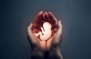 „Przerwanie ciąży jest (…) świadomym i bezpośrednim zabójstwem istoty ludzkiej”. Stanowisko Rady Stałej Konferencji Episkopatu Polski w sprawie prawnej ochrony ludzkiego życia