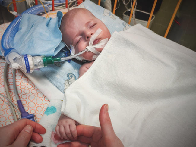 Pomóż Kubusiowi uzdrowić serce