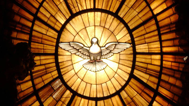 Komunikat Biskupów diecezji Polski południowo-wschodniej