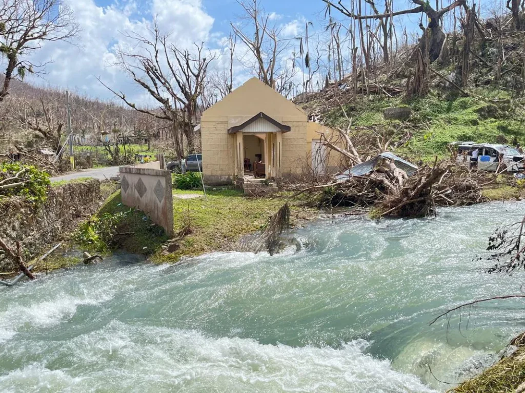 Zbiórka do puszek na rzecz poszkodowanych na Jamajce (niedziela, 23.11.2025)